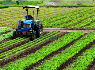 Agriculture